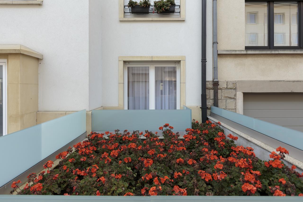 The Queen Luxury - Vinicia Apartment *